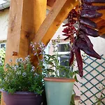 Restaurant Du Commerce Hotel Estang