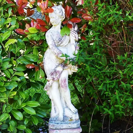 Restaurant Du Commerce Hotel Estang