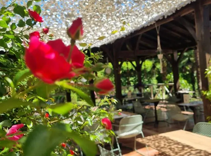 Restaurant Du Commerce 3* Estang