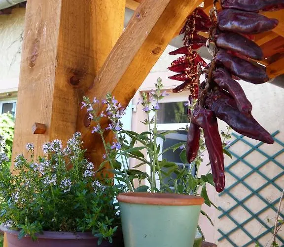 Restaurant Du Commerce Hotel Estang